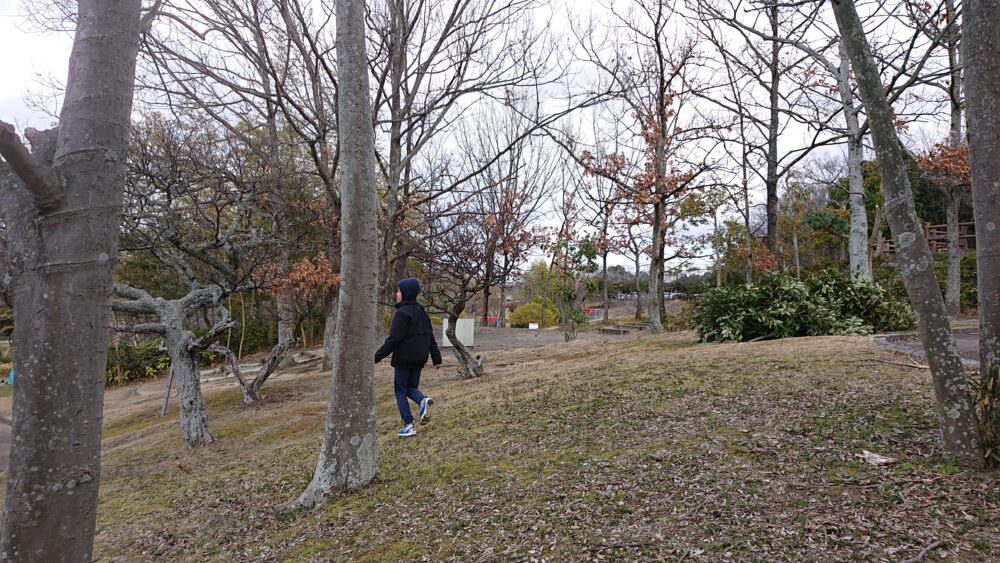 竹取公園