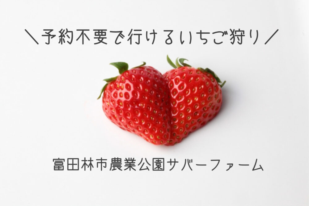 事前予約不要で甘 いいちごが食べ放題 サバーファーム でいちご狩り 富田林市 ママオアシス Mamaoasis