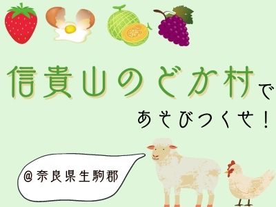 アウトドア好き必見 アスレチックやいちご狩りができる奈良県生駒の信貴山のどか村で一日中遊びまくろう ママオアシス Mamaoasis