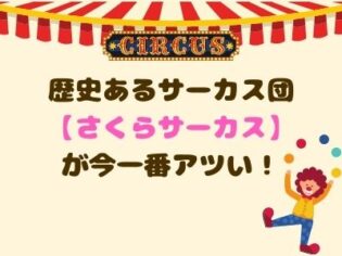 さくらサーカス　アイキャッチ