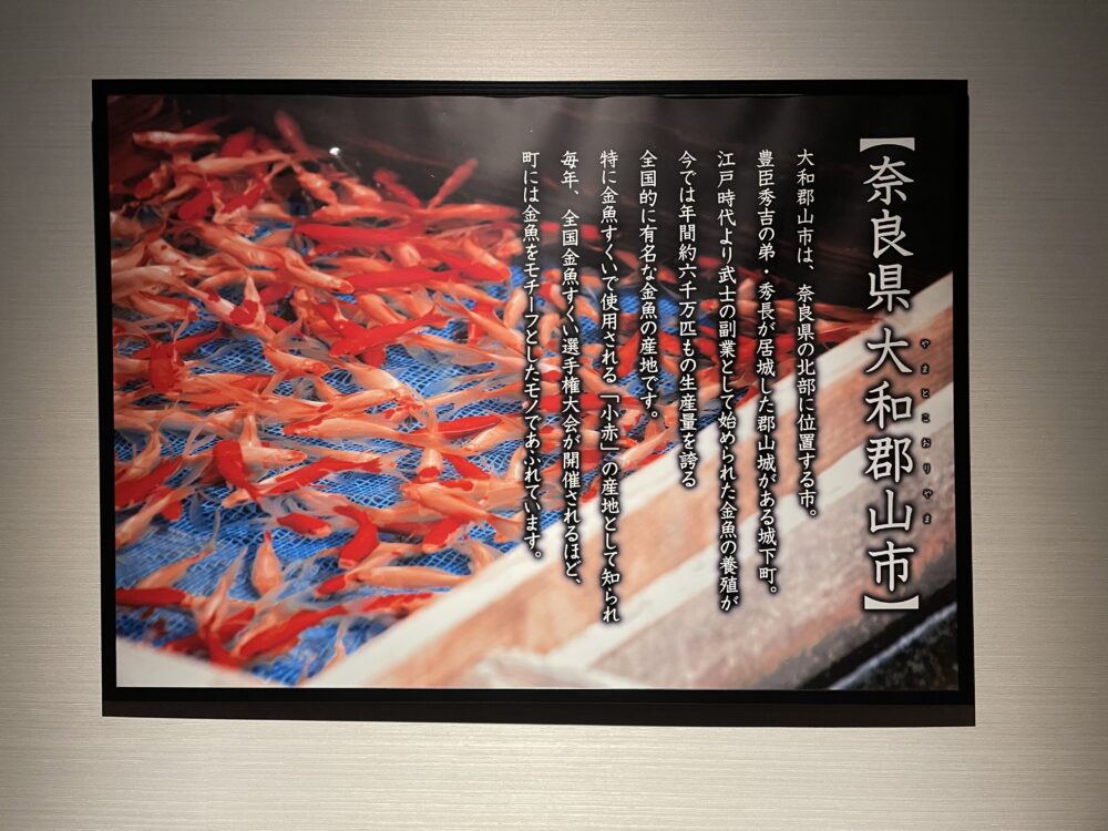 奈良金魚ミュージアム　大和郡山の説明
