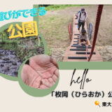 遊具充実！森林浴も川遊びもできる「枚岡（ひらおか）公園」は駐車場も無料で駅からも近い！＠東大阪市