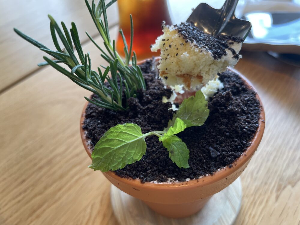 ザスープグリーンカフェの植木鉢パフェ