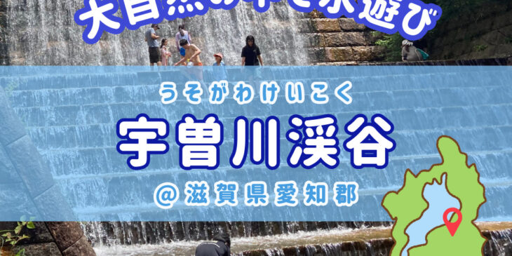 うそがわけいこく