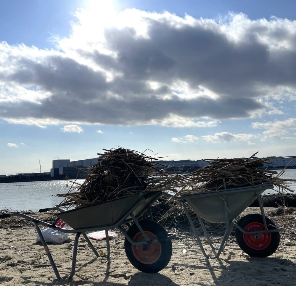 堺浜ビーチ