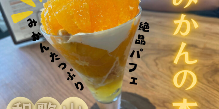 和歌山みかんの木