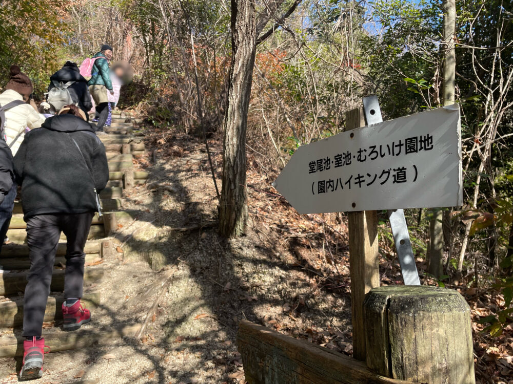 ほしだ園地で登山