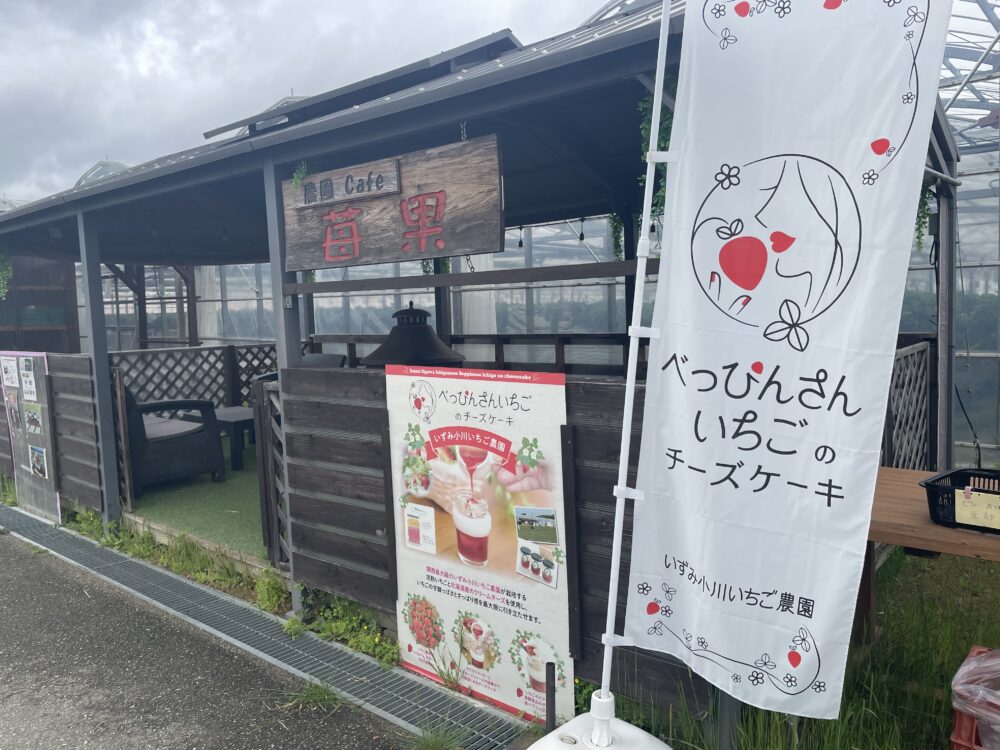 苺果