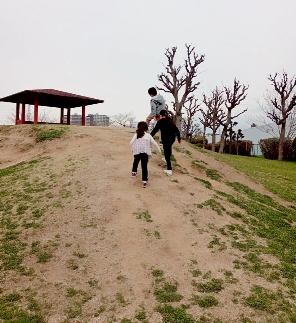 小高い山　白鷺公園