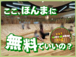 イオンモール四條畷の遊び場「なわてMokuMokuひろば」