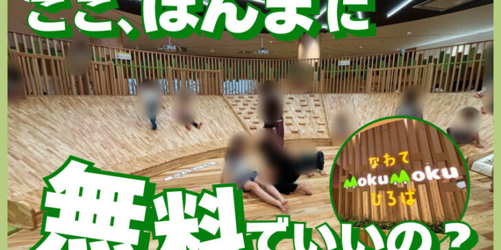 イオンモール四條畷の遊び場「なわてMokuMokuひろば」