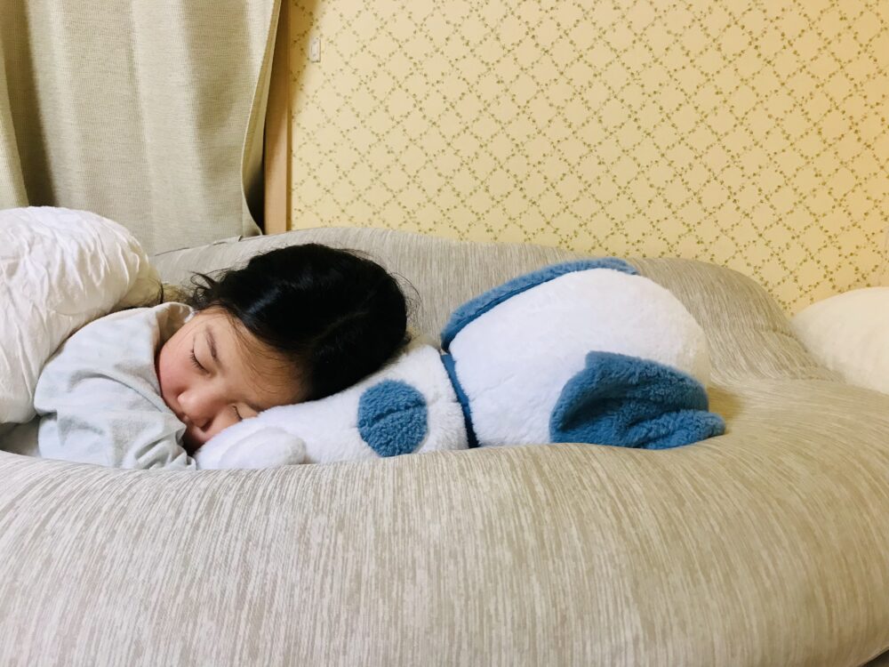 子ども用抱き枕「ハグモッチmini」