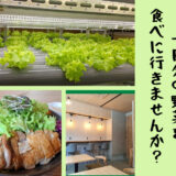 野菜不足を一気に解消！1日分の野菜が摂れるサラダボウル専門店「Salad bowl &cafe GREEN JOY」が堺東にNEW OPEN！