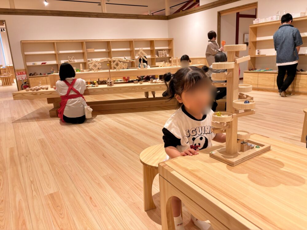 「奈良おもちゃ美術館」の木のおもちゃ