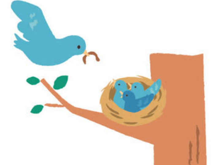 鳥の巣のイラスト