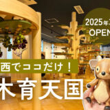 【2025年3月OPEN】ついに関西上陸！良質なおもちゃであふれる理想の遊び場「奈良おもちゃ美術館」