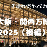 【関西万博レポ後編】人気パビリオン「ノモの国」とドローンショーを体験後、過酷すぎた帰り道！トイレやごみ箱問題も