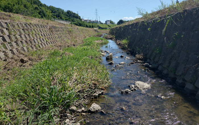 奈良県香芝市竹田川