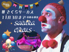 サクラサーカス
