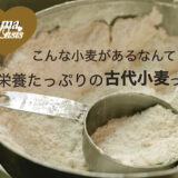 今注目の古代小麦「スペルト小麦」とは？栄養価が高く、パンやクッキーにも使える！