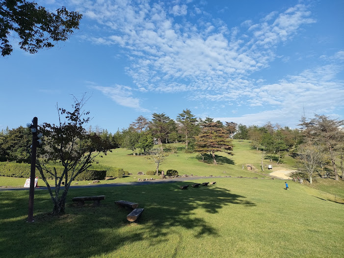 思い切り走り回るのも楽しい広い芝生