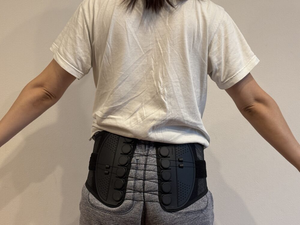 ガードナーベルト