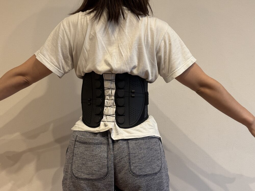 ガードナーベルト