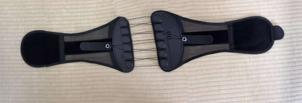 ガードナーベルト