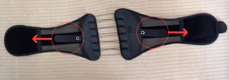 ガードナーベルト