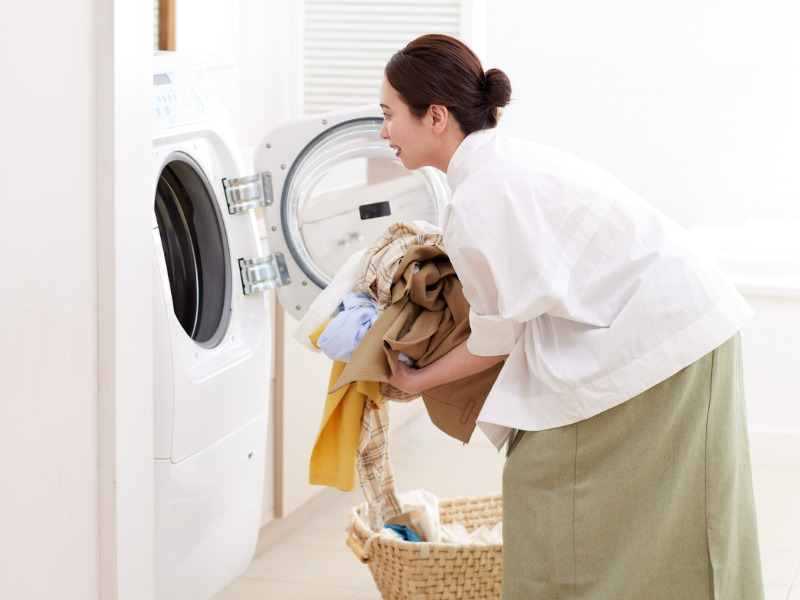 ガードナーベルト