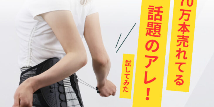 ガードナーベルト