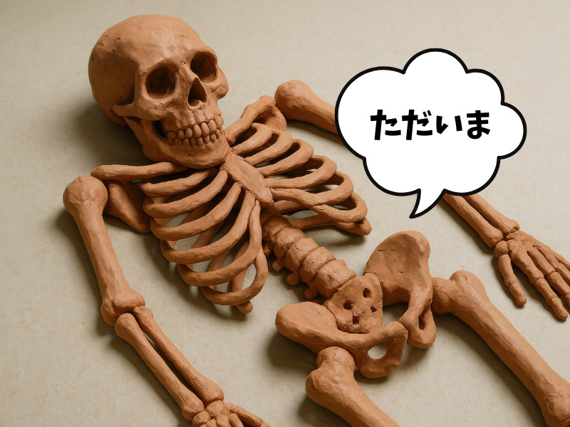 ガードナーベルト