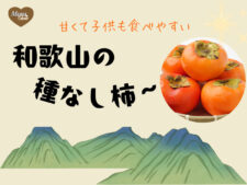 柿　アイキャッチ