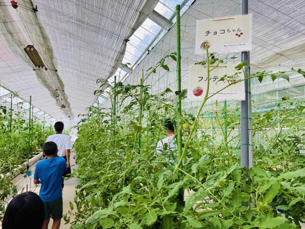 SYMBIOSISFARMbyYANMAR