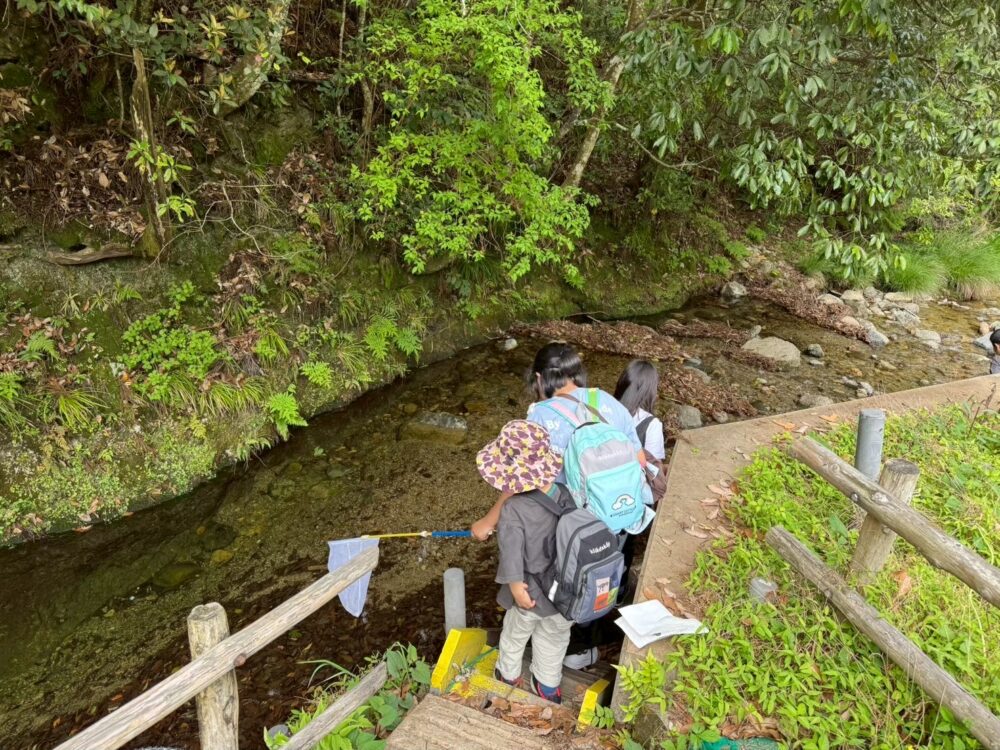ママオアシス登山部