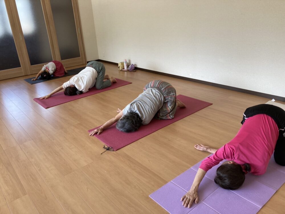 ヨガ体験