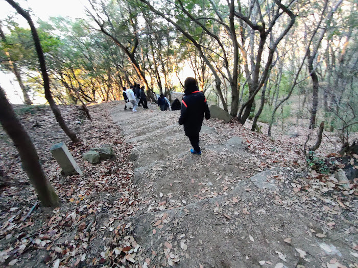 緩やかな道を歩く子どもたち