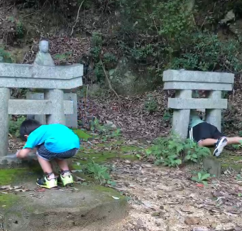 鳥居をくぐる子どもたち