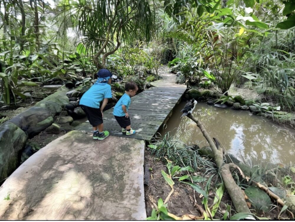 動物園の鳥を観察する兄弟