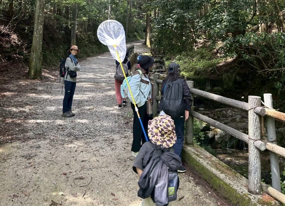 ママオアシス登山部