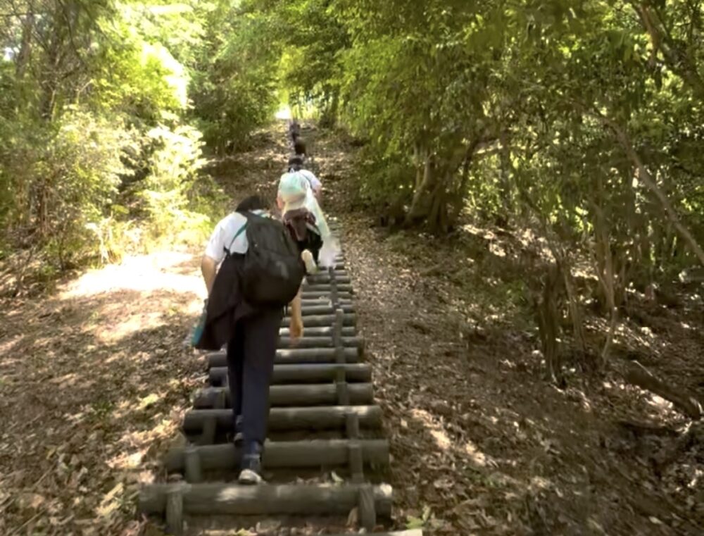 ママオアシス登山部