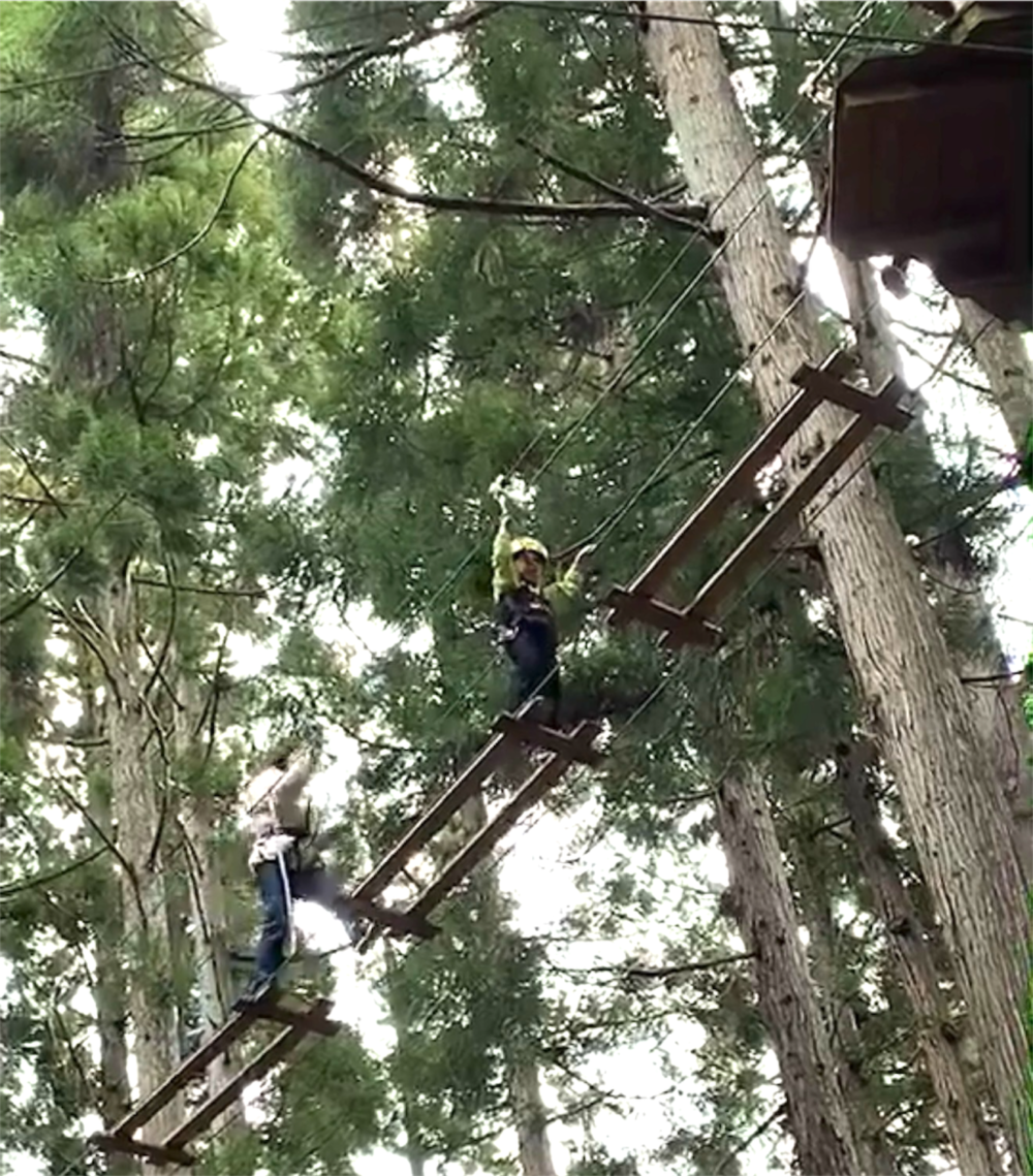 スマホで撮影してピンボケするほどの高さのキャノピーコース