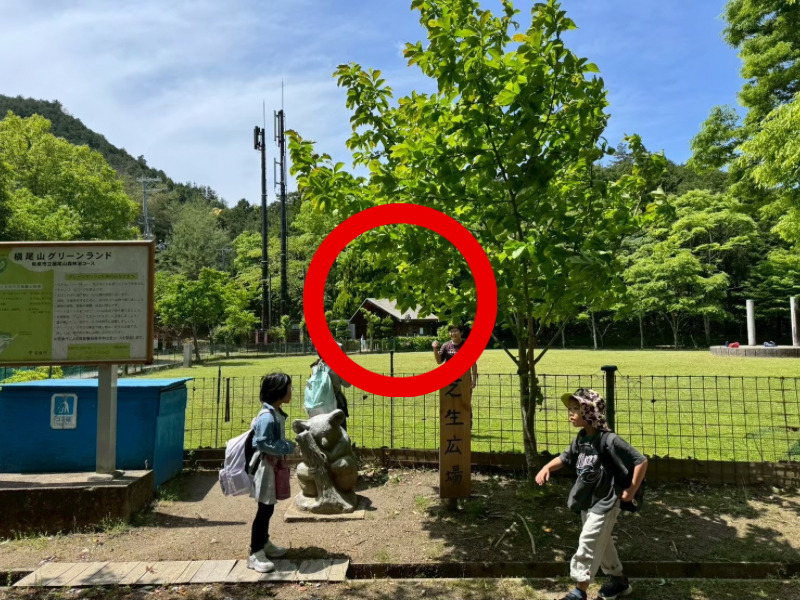 ママオアシス登山部