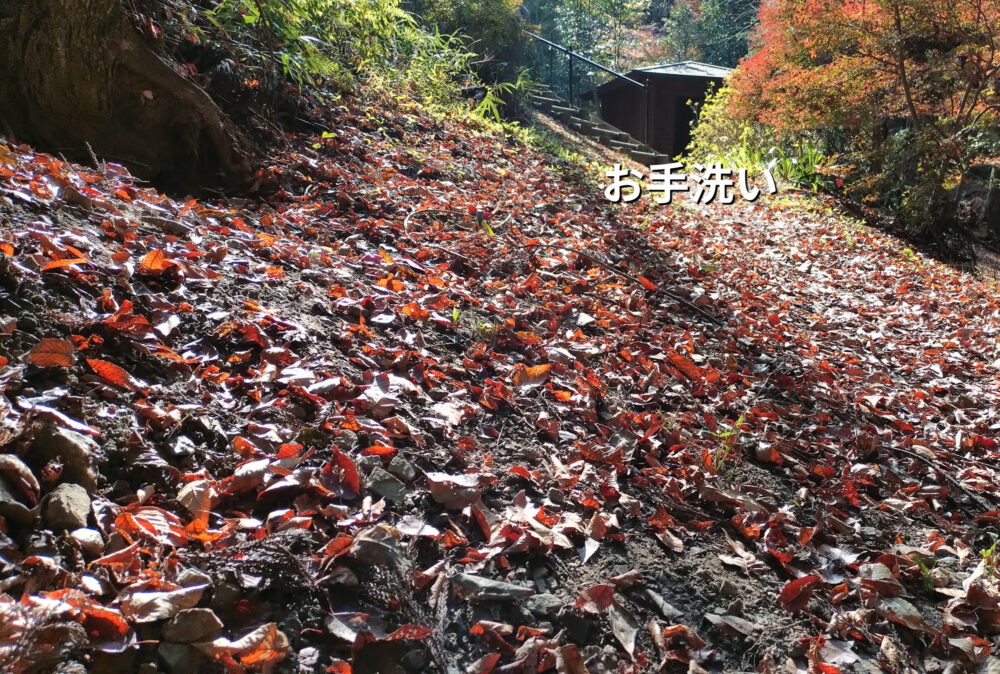 水晶このあたり