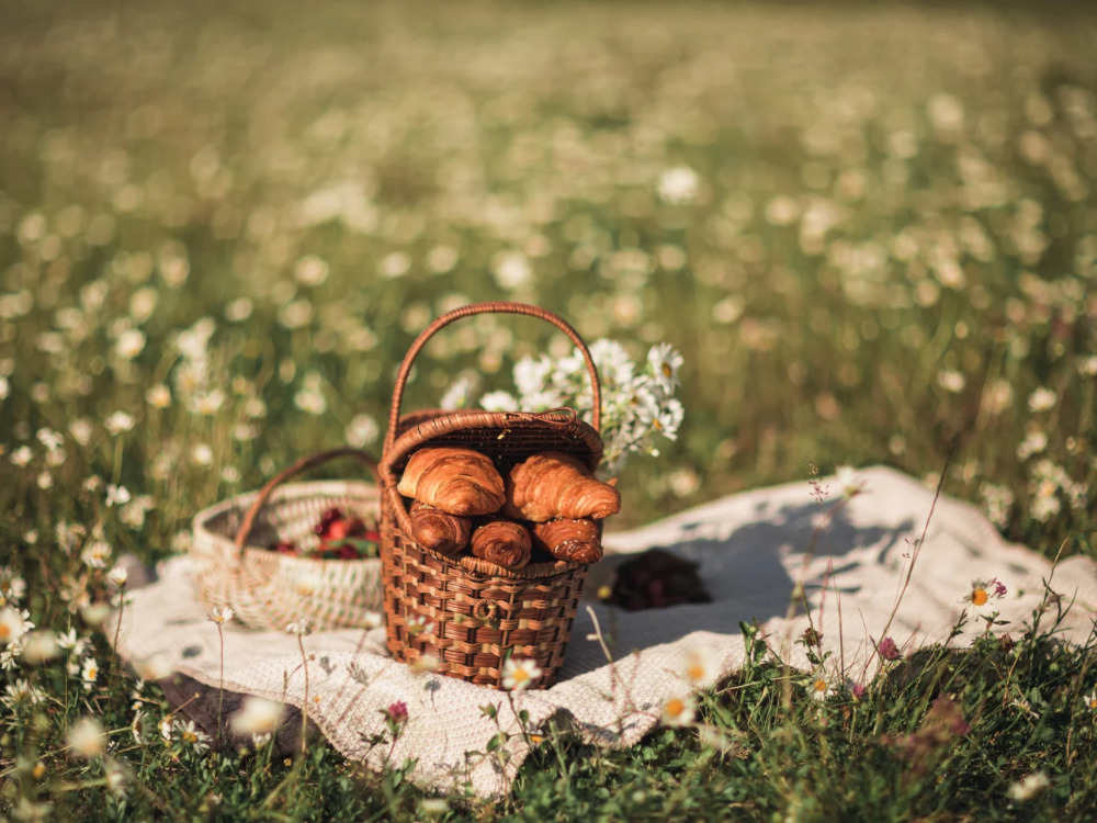 パンピクニック