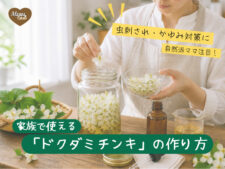 自然派ママにオススメ。虫刺され、かゆみ対策に家族で使えるドクダミチンキの作り方