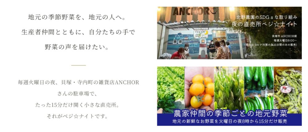 ベジナイトの説明画像