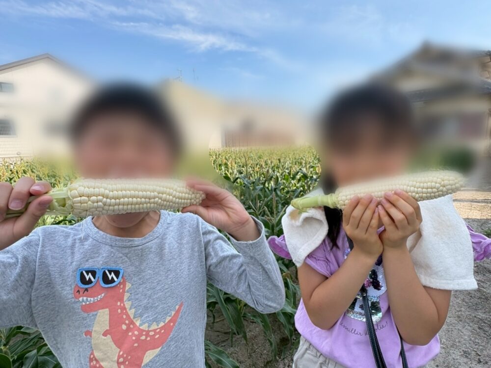 採れたてのホワイトコーンにかぶりつく男の子と女の子