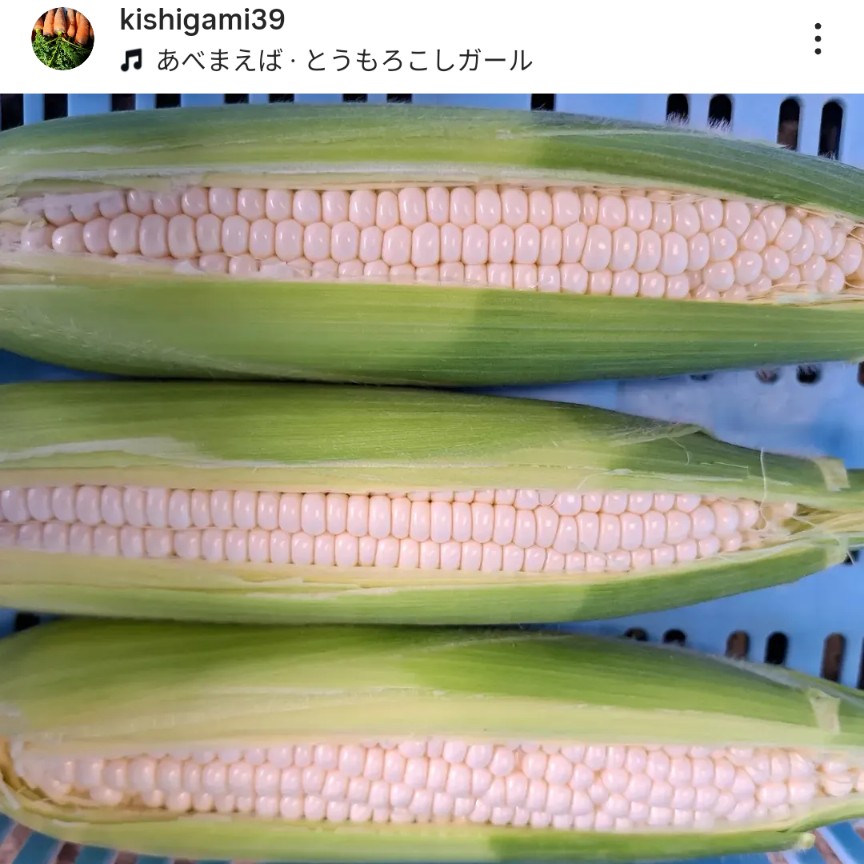 岸上農園さんのInstagramのホワイトコーンの写真