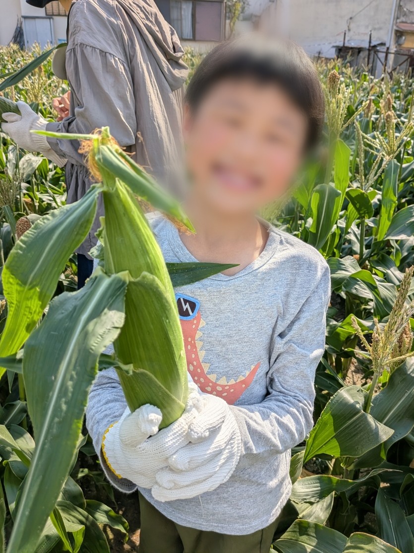 ホワイトコーンを自分で収穫できて嬉しそうな男の子